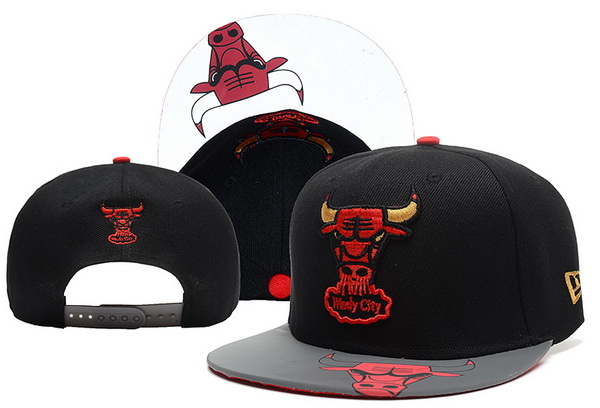 NBA Chicago Bulls NE Snapback Hat #362